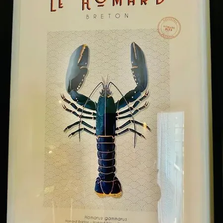 Studio Le Homard Bleu Camaret-sur-Mer Exterior photo