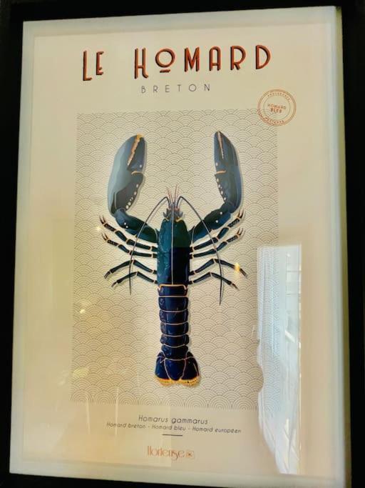 Appartement Le Homard Bleu Camaret-sur-Mer